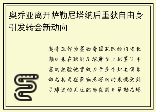 奥乔亚离开萨勒尼塔纳后重获自由身引发转会新动向